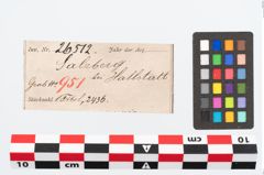 Etikett zu Bronzebrillenfibel (NHMW-PRAE-026512)